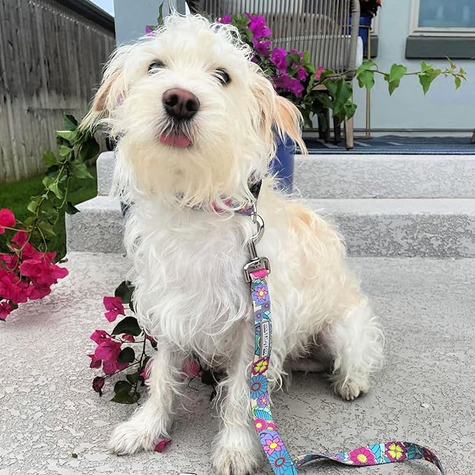 Lucky Love Dog Leash, Beautiful Flower Pattern Female Dog Leash for Large Dogs, Durable & Long Lasting (Caroline, Large)