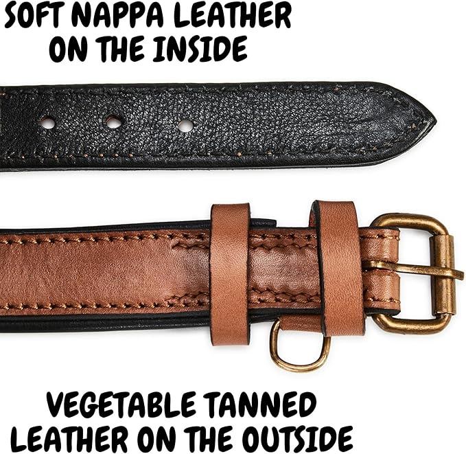 Real Leather Dog Collar Padded Soft Interiors with Premium Vintage Look Handcrafted Heavy Duty with Tag Ring for Small Medium and Large Pets (Small (1" Wide for 10.75" - 13.75" Neck), Cognac)