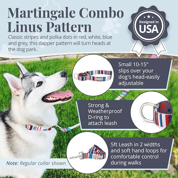 Lucky Love Dog Martingale Dog Collar & Leash - Adjustable, No-Slip, Durable, Comfortable, Soft Webbing, & Stylish Patterned Dog Collar & Leash Set for Male and Female Dogs - Linus Combo, Small