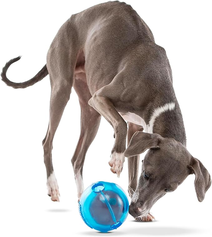 GURU Pet: Guru Ball - Medium Blue - Dog Toy, Hides & Dispenses Treats, Slow Feeding, Easy Loading, Durable Rubber, Roll-Bounce-Spin-Tumble-Solve-Play