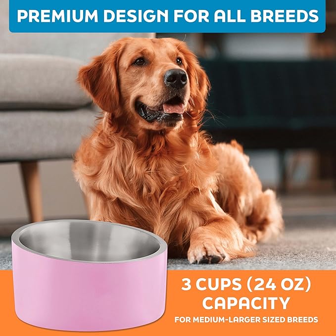 Master Pet Supply Stainless Steel Slanted Dog Cat Food Bowl - 24 oz Heavy Duty - Hyper Pink, Double Wall Insulated, Non-Slip Elevated Bowl for French Bulldogs Pugs Cats, Anti Rust Dishwasher Safe