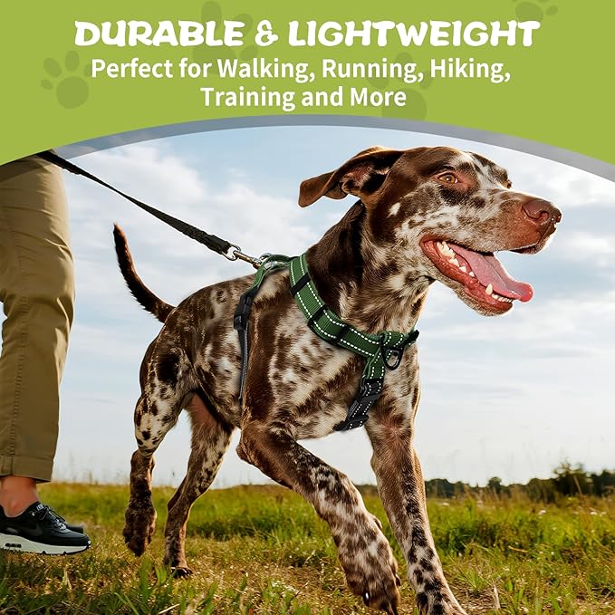 Dog Harness,Adjustable No Pull Dog Harness,Y-Shaped Design,Buckle-Neck Balance Harness with Reflective, Ideal for Dog Training Hiking, Easy Walk Harness,Durable High-Tensile Nylon Green-S