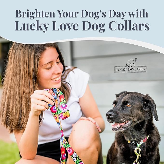 Lucky Love Dog - Easy Click Buckle Dog Collar with Leash Set Combo, Durable & Comfortable for Male & Female Dogs, Pet Collar for Small to Large Dogs, Secure Fit - Blackbird Combo, Small