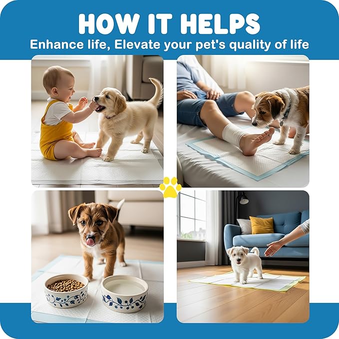 MoMoCo Puppy Pads 23″×23″ Disposable Dog Pee Pads Super Absorbent, Leak-Proof Puppy Training Potty Pads, 200-Count Value Pack (Pattern100 + Pink100)