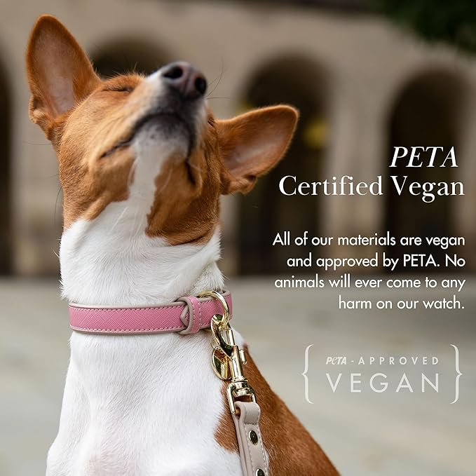 NINA WOOF Rio Vegan Leather Dog Collar - Padded Luxury Dog Collar with Adjustable Buckle - Color Peach (Small)