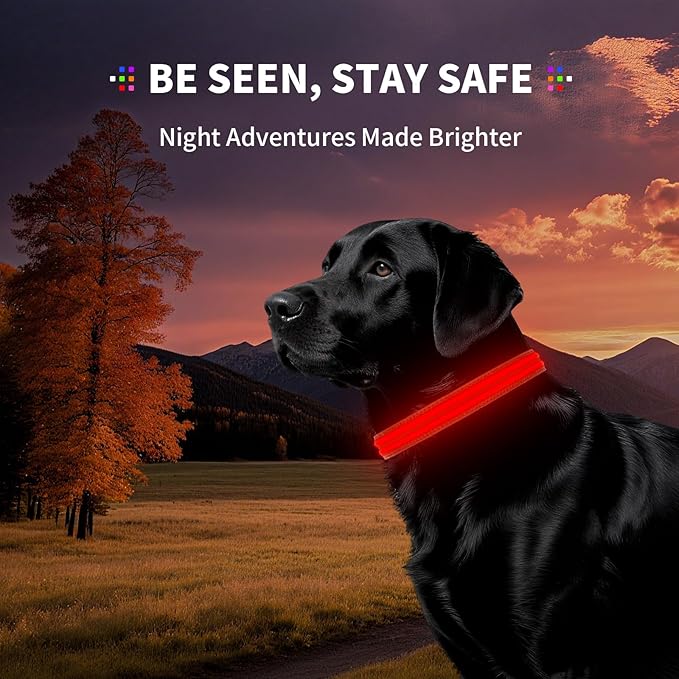 PetIsay Dog Light up Collar for Night Walking - High Visibility LED Dog Collar - Rechargeable - Waterproof - Reflective - Adjustable Lighted Glow Collars(Red,Large)
