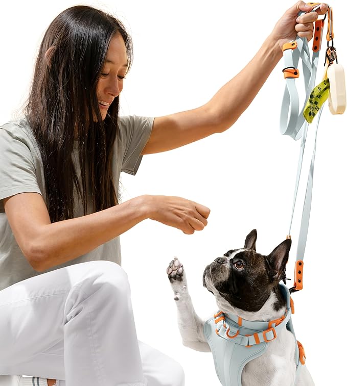 WLK1005D-5SET Luna Medium 8FT Adjustable 6-in-1 Waterproof Hands-Free Leash and Collar with LED Flashlight, Bag Dispenser, and Poop Bag Holder, Fishbowl