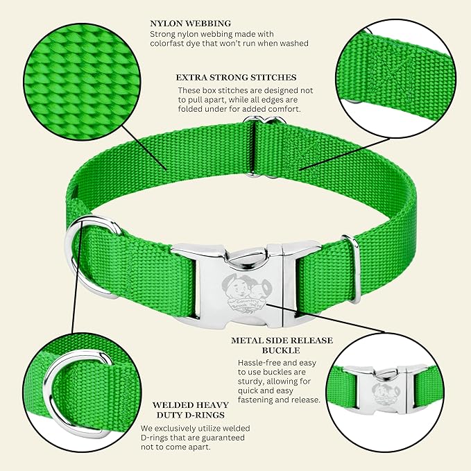 Country Brook Petz - Premium Nylon Dog Collar with Metal Buckle for Small Medium Large Breeds - 10+ Cool Colors (Small, 3/4 Inch Wide, Hot Lime Green)