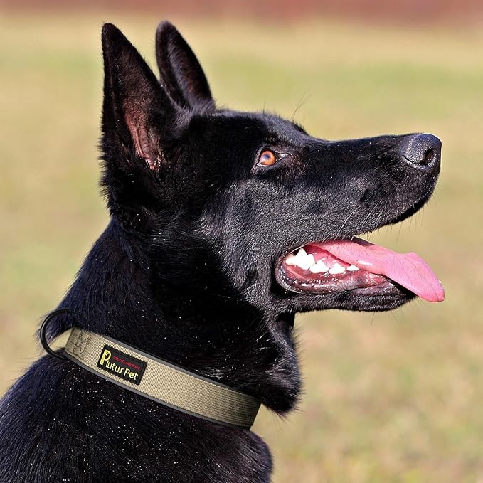 Plutus Pet Tactical Dog Collar, Reflective, Adjustable Heavy Duty Dog Collar, Soft Padded and Comfortable, for Small Medium and Large Dogs (Beige, XL)