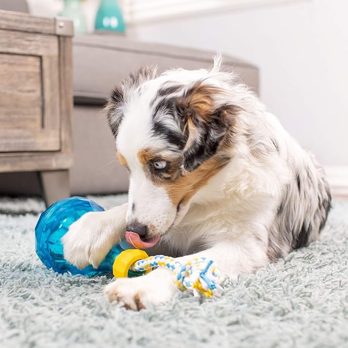 Our Pets IQ Treat Tug & Activity Puzzle Toy - Interactive Rope Toy for Dogs With Treats or Dry Food - Medium 7.5"
