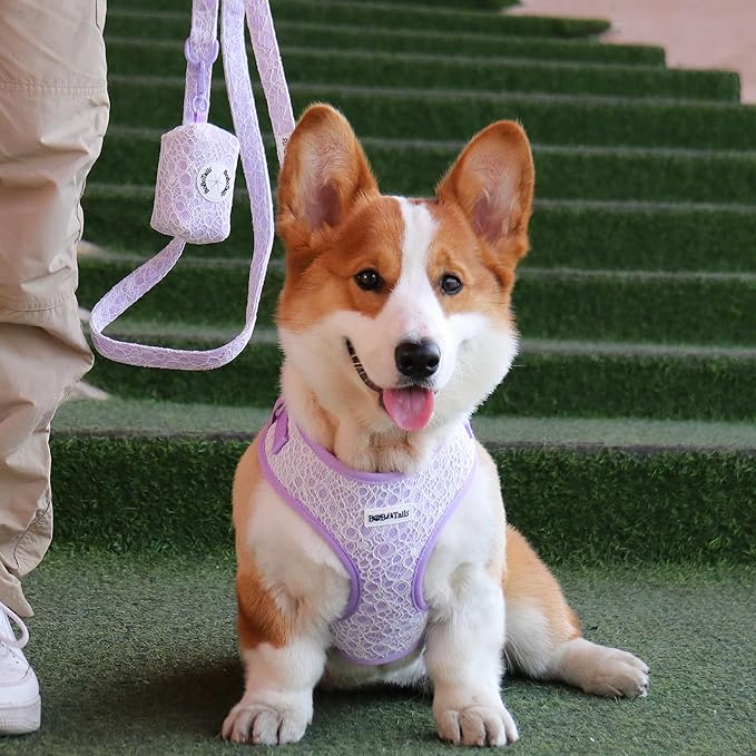 No Pull Dog Vest Harness for Small&Medium Dogs, Side Clip Adjustable Pet Vest, Soft Breathable, Fashion Dog Harnesses for Walking, Running, Shopping (Purple, M)