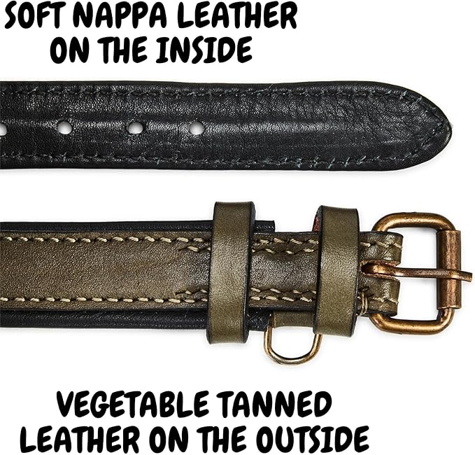 Real Leather Dog Collar Padded Soft Interiors with Premium Vintage Look Handcrafted Heavy Duty with Tag Ring for Small Medium and Large Pets (Small (1" Wide for 10.75" - 13.75" Neck), Olive)