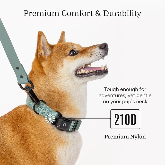 2026 New Edition, Fei & Eve MagEase Dog Collar - Patented Magnetic Buckles | Fur-Safe | Premium 210D Nylon | 450LB Escape-Proof | Adjustable Fit | Small (Glacier Green)