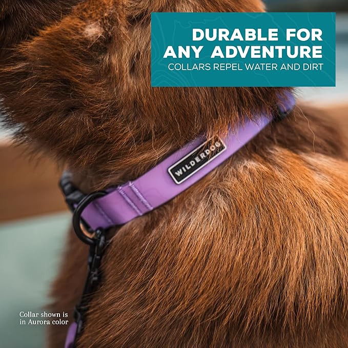 Wilderdog Waterproof Dog Collar - Repels Water & Dirt - Large 17"-24" - Aurora