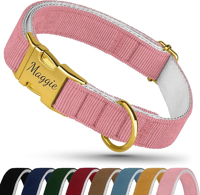 Personalized Dog Collar with Gold Metal Buckle, Velvet Custom Dog Collars for Small, Medium & Large Dogs – Puppy Collars with Metal Buckle, 4 Sizes, 8 Colors (Pink, S, 9"-12")