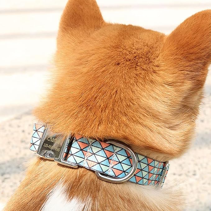 Personalized Pet Collar with Buckle | Custom Name & Number Mosaic Print | XS - L Sizes |Metal Buckle D-Ring | Adjustable Reflective Weatherproof Dog Collar for Medium and Small Dogs