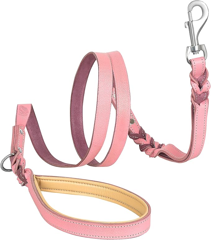 Riparo Leather Dog Leash - Pink, 6FT Long for Small Dogs