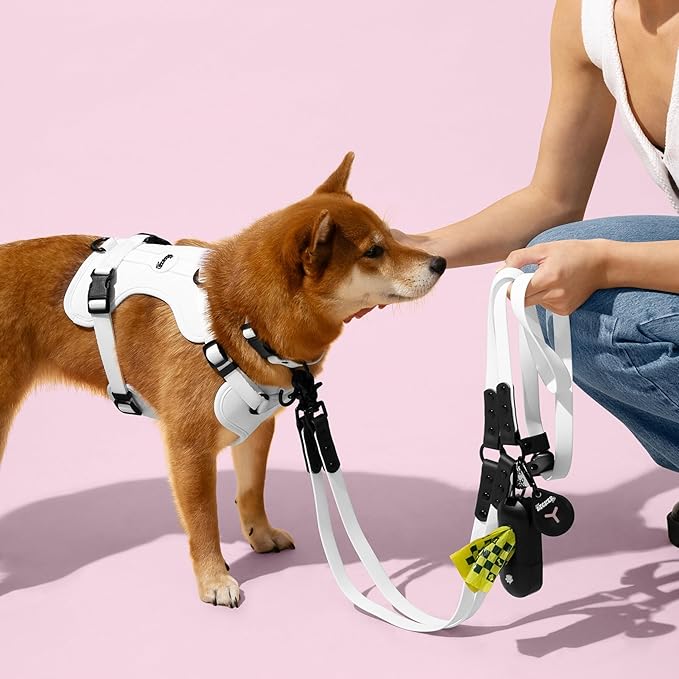 WLK1006F-5SET Luna Large 8FT Adjustable 6-in-1 Waterproof Hands-Free Leash and Collar with LED Flashlight, Bag Dispenser, and Poop Bag Holder, Seltzer