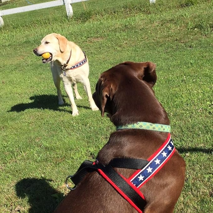 ComfortFlex Patriotic Dog Harness – Fully Padded, Adjustable, Lightweight No-Choke, No-Pull, Non-Chafing Design for Active Dogs, Enhanced Control, Made in The USA - Small, The Patriot