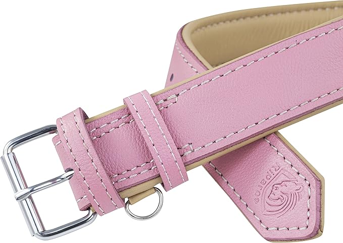 Riparo Pink Dog Collar, Puppy Collar, Leather Dog Collar with Dog Tag Holder, Small Dog Collar for Small Dogs (S: 0.75” Wide for 10”-13.5” Neck, Pink)