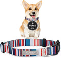 Lucky Love Dog - Adjustable Dog Collar with Easy Click Buckle for Small Dogs, Durable, & Comfortable for Male & Female Dogs, Pet Collar for Puppies & Adult Ones - Linus, Small