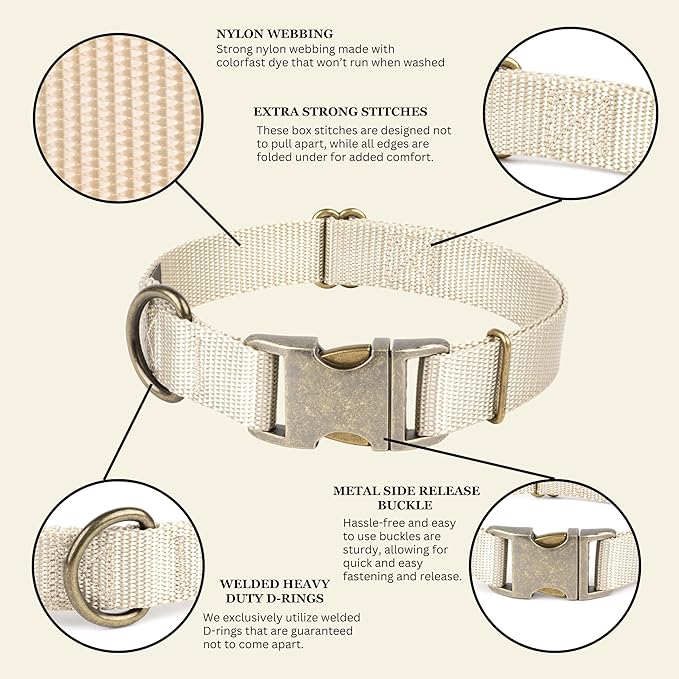 Country Brook Petz - Premium Nylon Dog Collar with Metal Buckle for Small Medium Large Breeds - 10+ Warm Colors (Small, 3/4 Inch, Almond)