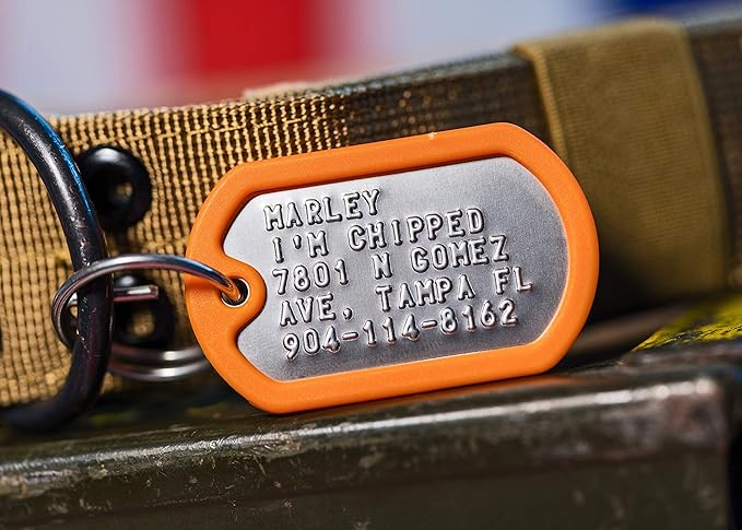 Dog Tags for Dogs, Custom Dog Collar ID Tag Personalized for Pets - Super Tough, Quiet Embossed Military Style Stainless Steel Dog Name tag (Orange)