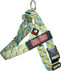 BULLHUG Adjustable Dog Harness– No Pull, No Choke – for English Bulldogs, French Bulldogs, Pugs & Broad-Chested Breeds – Easy, Safe Walks (Taco, Small)