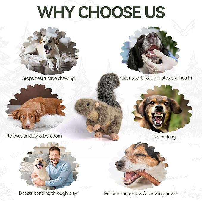 ALL FOR PAWS Squeaky Dog Toys, Plush Squirrel Dog Toy, Stuffed Animal Dog Toys for Small Medium Large Dogs, Soft Puppy Chew Toy with Squeaker