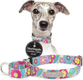 Lucky Love Dog Martingale Collar, Premium No Slip Martingale Collar for Medium Dogs, Great for Whippets, Greyhounds, and More (Caroline, Medium)