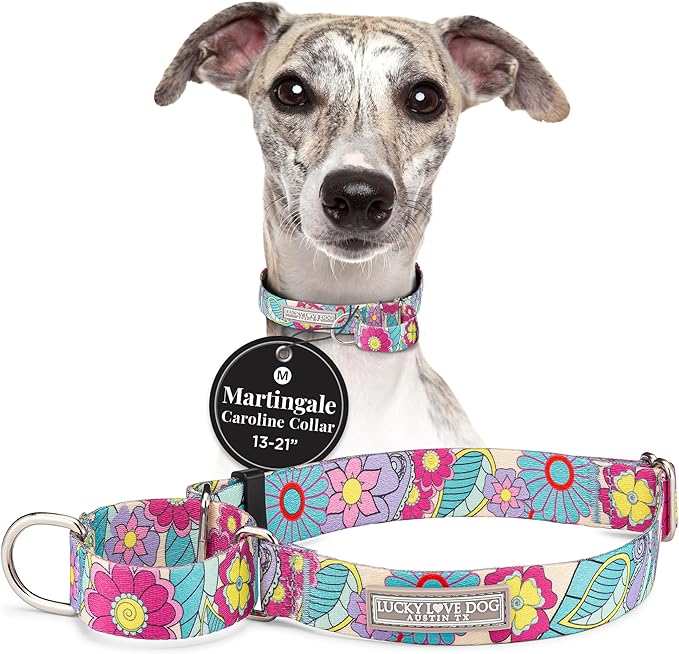 Lucky Love Dog Martingale Collar, Premium No Slip Martingale Collar for Medium Dogs, Great for Whippets, Greyhounds, and More (Caroline, Medium)