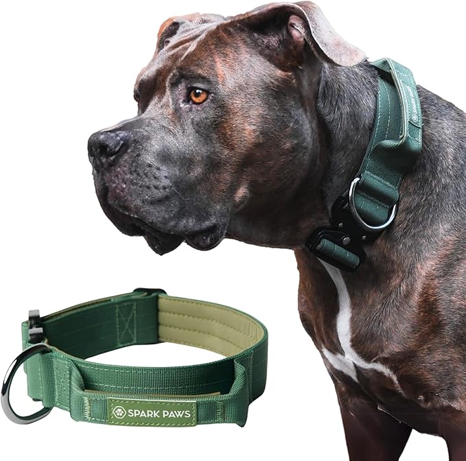 Spark Paws Tactical Dog Collar - Heavy Duty, Premium Quality, Thick and Durable for Large and Medium Dogs - Solid Green - M