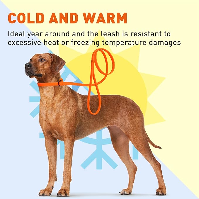Dogline Biothane Slip Dog Leash - for Small, Medium and Large Dogs - Odor Free Slip Lead, Heavy Duty and Durable Material Kennel Lead - Hunter Orange - 7ft L x 1/2in W
