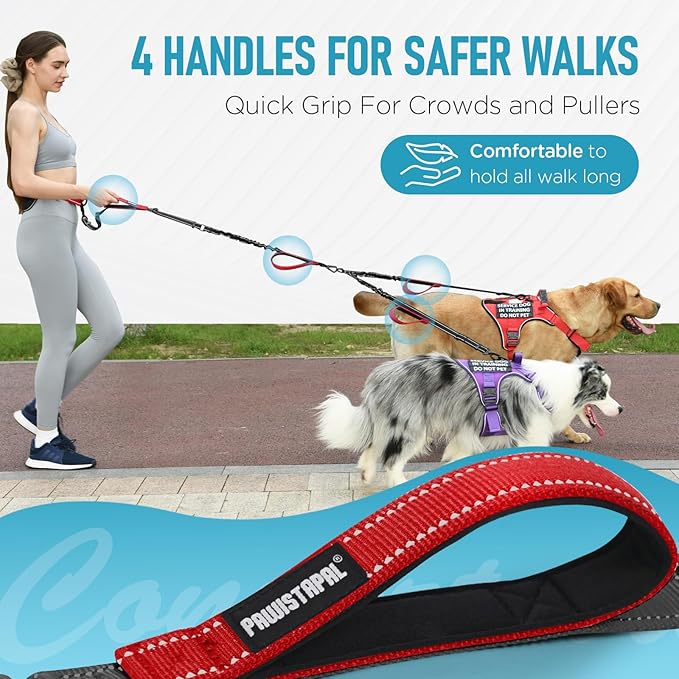 Hands Free Dog Leash, Waist Bungee Leash for 2 Large Dogs, 6-8ft No-Tangle Heavy Duty Leashs(50-120 lbs)