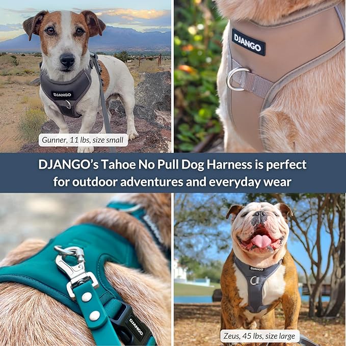 DJANGO Tahoe No Pull Dog Harness – Escape-Proof Dog Harness for Medium & Large Dogs with Front & Back Clips for Everyday Use – Adjustable, Padded, Reflective, Secure, Easy On/Off – Poppy Gray, Large