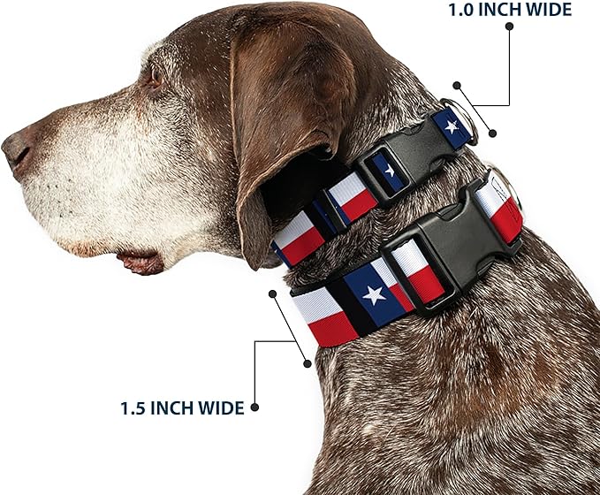 Buckle-Down Plastic Clip Collar - Texas Flag/Black - 1" Wide - Fits 15-26" Neck - Large