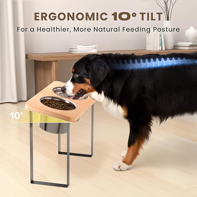 14" Tall Elevated Dog Bowls - Ergonomic Stainless Steel Dog Bowls with 10° Tilt in Bamboo Wood Stand for Tall & Large Breed
