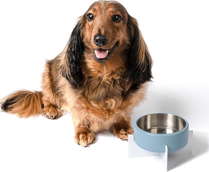 DBL3000C Intersecta Small/Medium Concrete and Stainless Steel Bowl 16oz (2 Cups) with Metal Stand Pet Feeder, Blue/White