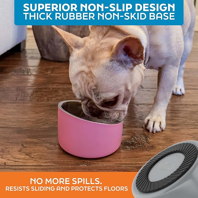 Master Pet Supply Stainless Steel Slanted Dog Cat Food Bowl - 8 oz Heavy Duty - Graphite, Double Wall Insulated, Non-Slip Elevated Bowl for French Bulldogs Pugs Cats, Anti Rust Dishwasher Safe