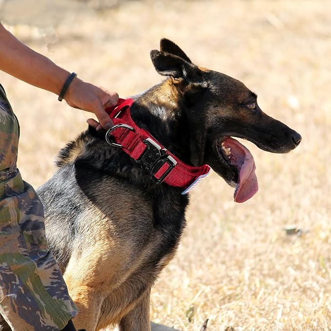 Tactical Dog Collar and Bungee Leash, Military & Leash Set with USA American Flag Adjustable K9 Heavy Duty Metal Buckle Handle, Patches Airtags Case (L, Red(1PCS))