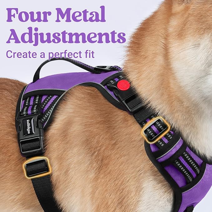 rabbitgoo Dog Harness for Large Dogs, No Pull Pet Harness with Soft Padded Handle, Adjustable Reflective Vest with 3 Buckles, Easy Walking Harness with 2 Leash Clips, Purple, L