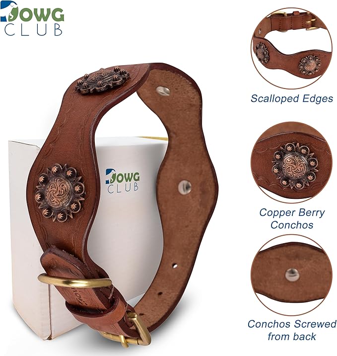| Genuine Leather Collar with Scalloped Edges | Hand Tooled, Hand Carved, Full Grain, Heavy Duty | Comfortable, Strong (Large (Fit Neck Size 18.5"-22.5"), Brown-Scalloped Edges)