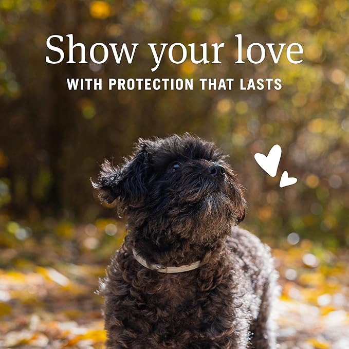 PetArmor Extend Flea & Tick Treatment & Prevention Collar for Small Dogs up to 18 lbs., 8 Months of Protection, Odorless & Non-Greasy, Waterproof, Kills Fleas, Ticks, and Flea Larvae, 2 Count
