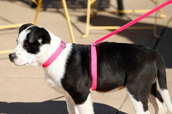 No-Pull Dog Leash, Chew Resistant, Waterproof, Durable PVC Material, Multiple Sizes and Colors (Pink, Large)