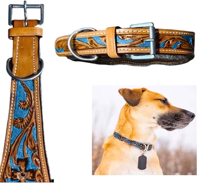 Majestic Ally Leather Dog Collar with Adjustable, Padded Fit for Walking, Hiking, and Running, Designer Western Wear for Puppies, Fancy Colors (Royal Blue - Natural, Extra Large)