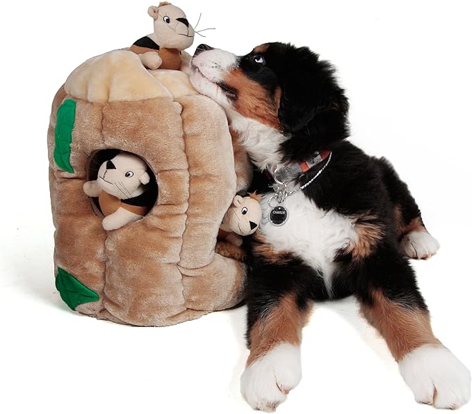 Outward Hound Kyjen Plush Puppies 70th Anniversary Hide-A-Squirrel, Limited Edition