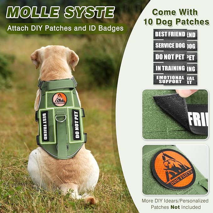 Tactical Service Dog Vest Harness and Leash Set,Heavy Duty Dog Harness with Metal Buckles for Large Dogs,Adjustable No Pull Pet Vest with 10 Patches,for Training Working Hiking,Green XL