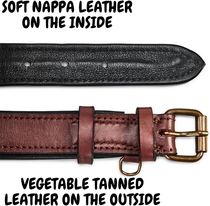 Real Leather Dog Collar Padded Soft Interiors with Premium Vintage Look Handcrafted Heavy Duty with Tag Ring for Small Medium and Large Pets (Medium (1.25" Wide for 13.5" - 17.5" Neck), Oxblood)