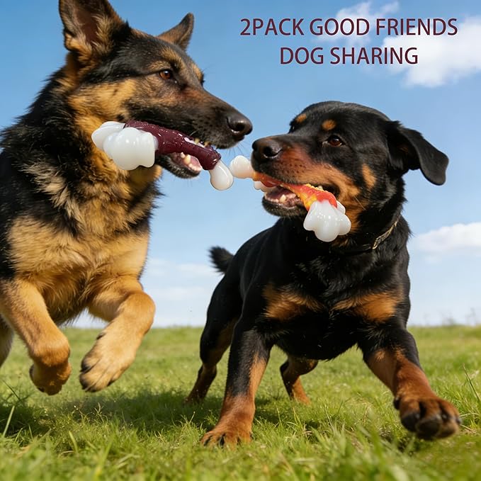 2 Pack Tough Dog Toys, Toys for Aggressive Chewers Medium Large Breed, Chew Dogs, Bone Toy Nylon Dogs Almost Indestructible