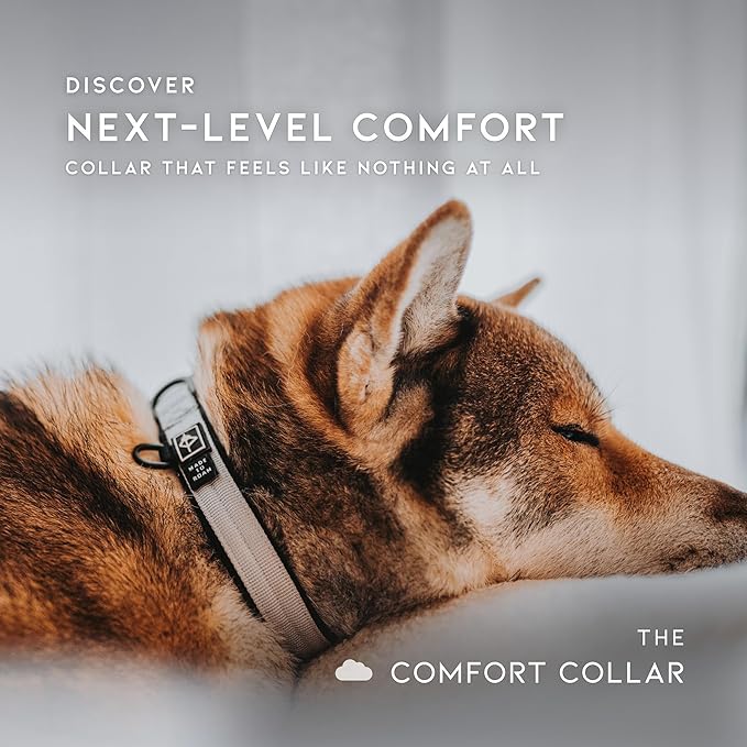 MADE TO ROAM Comfort Collar - Adjustable Nylon Dog Collar with Soft Comfortable Padding, Light Aviation Aluminum Metal Buckle for Small, Medium and Large Dogs (Texas Flair, Size 4)